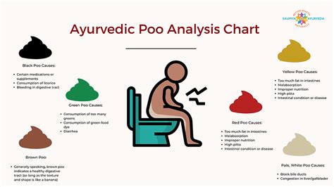 Ayurveda Stool Analysis: What Your Poop Says About Your Health