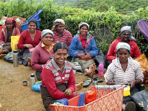 Tea Pluckers in Sri Lanka | Walking Adventures