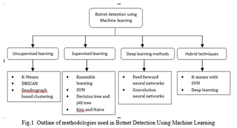 A Report on Botnet Detection Techniques for Intrusion Detection Systems