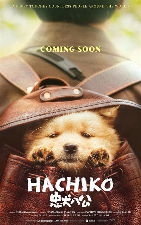 Hachiko (2023) Movie Tickets & Showtimes Near You | Fandango