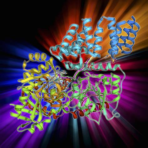 Applying the Bioprocessing 4.0 Paradigm to Antibody Glycosylation