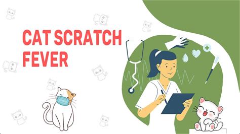 Cat Scratch Fever - Causes, Symptoms, And Treatment - Petmoo