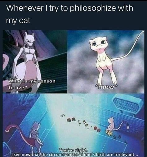 The best Mewtwo memes :) Memedroid