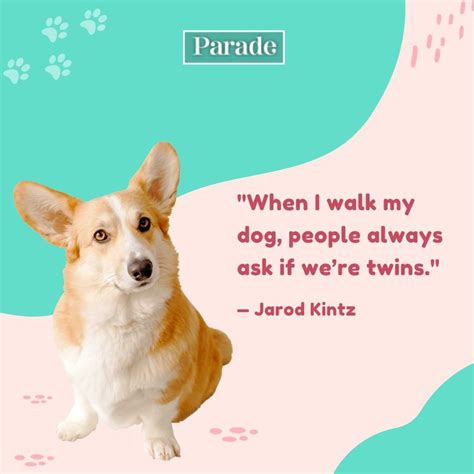 311 Best Pet Quotes - Parade Pets