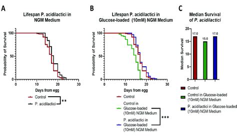 Pediococcus acidilactici increases lifespan of C. elegans (A) Lifespan ...