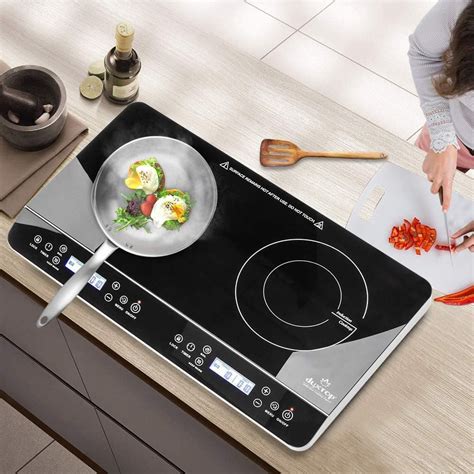 Best Portable Induction Cooktop Reviews Consumer Report