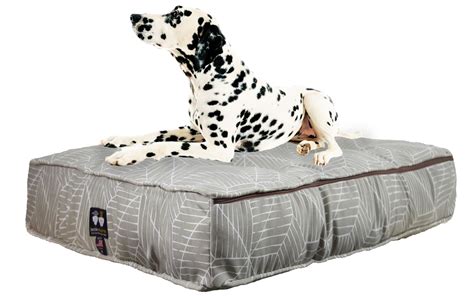 47 HQ Images Calming Pet Bed With Removable Cover - Warm Cozy Pet Bed ...