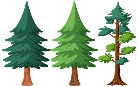 Free Vector | Pine tree in different shapes