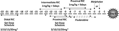 Schematic of alemtuzumab schedules. *Patients weighing | Download ...