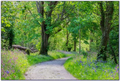 Lost Gardens Of Heligan Map - Garden : Home Design Ideas #KVndvmBQ5W52415