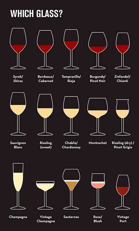 Types of Wine Glasses | Potter Wines