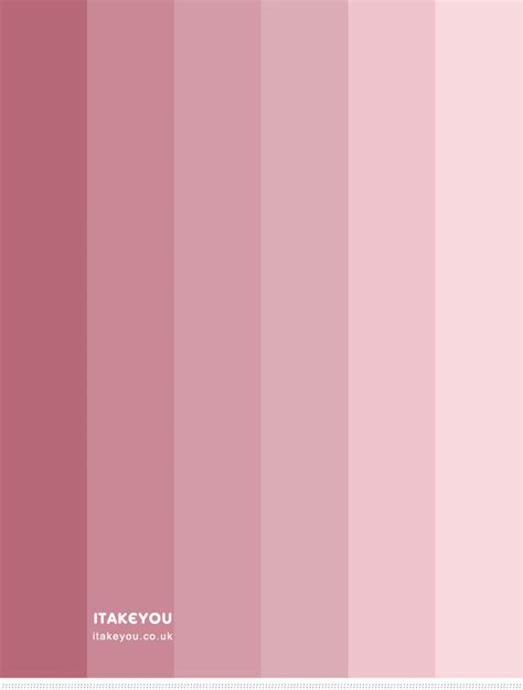 Blush Pink Color Palette