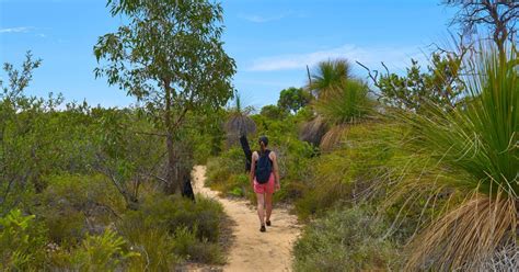 Parks in Perth: the 7 Best Natural Sites in the Hip Australian City