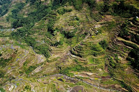 Demystifying the age of the Ifugao Rice Terraces to decolonize history