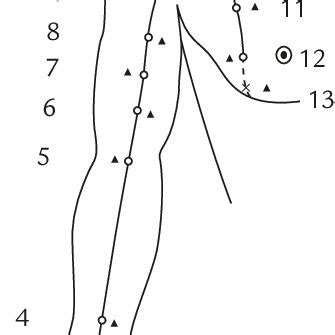 Position of measured points along the pericardium meridian, are the ...