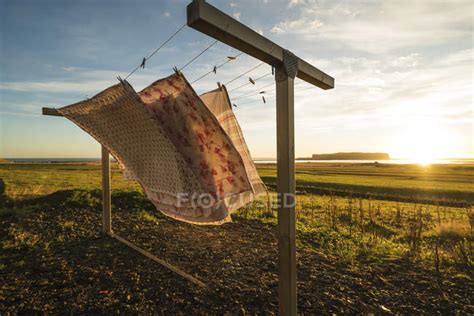 Fabric on a clothesline blowing in the wind at sunset; Vik, Iceland ...