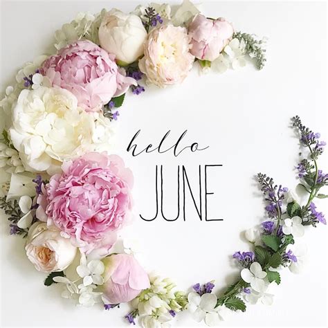 hello june | Hello june, Month flowers, June flower