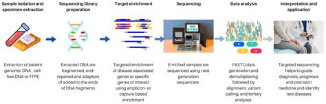 Staubig Fausthandschuh Gezwungen illumina sequencing advantages ...