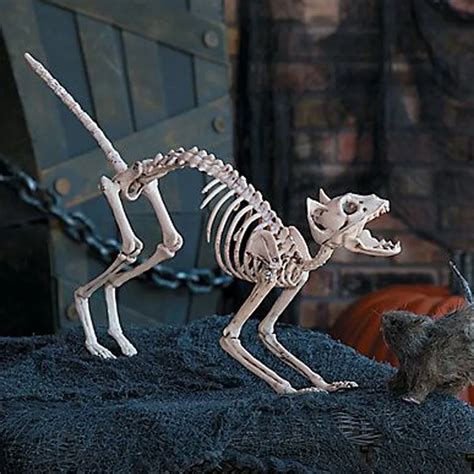 EMS Skeleton Cat 100% Plastic Animal Skeleton Bones for Scary Halloween ...