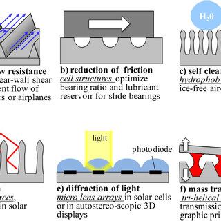 Examples of functions in the micro- and nanometre range (examples ...