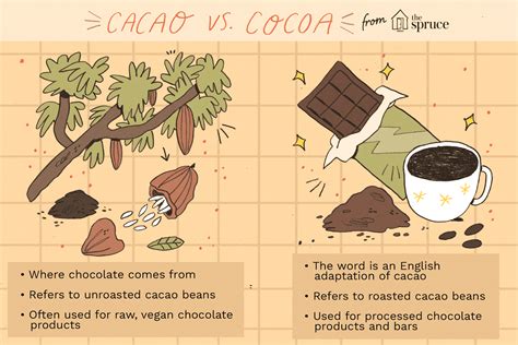 The Difference Between Cocoa and Cacao