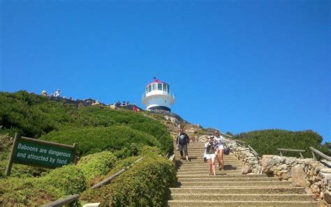 10 Things I Love About Cape Point Nature Reserve