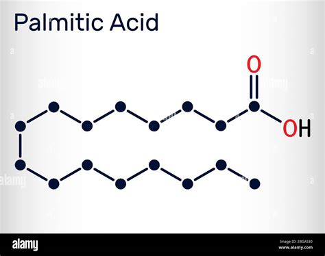 Palmitic acid or hexadecanoic, C16H32O2 molecule. It is saturated fatty ...