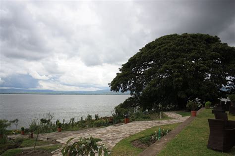 Our Vacation in Ethiopia 2010: Lake Hawassa