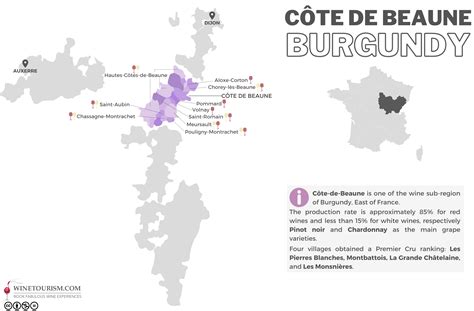 Côte-de-Beaune - Wine Region in Burgundy, France | Winetourism.com