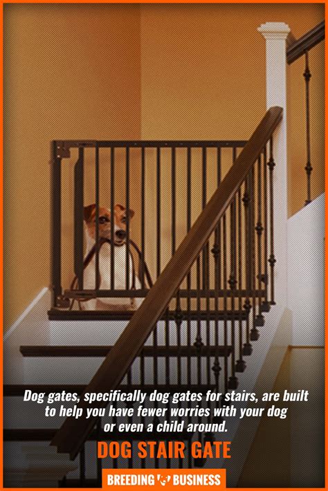 7 Best Dog Gates for Stairs – Mounted, Free-standing, Reviews & FAQs