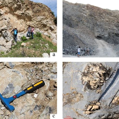 Sedimentary characteristics of the limited platform. (a) Micrite ...