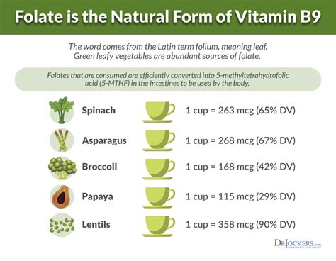 Folate Rich Foods Chart