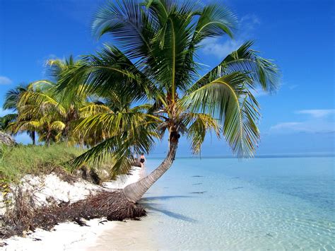 Cayo Coco beach, Cuba - Ultimate guide (November 2024)