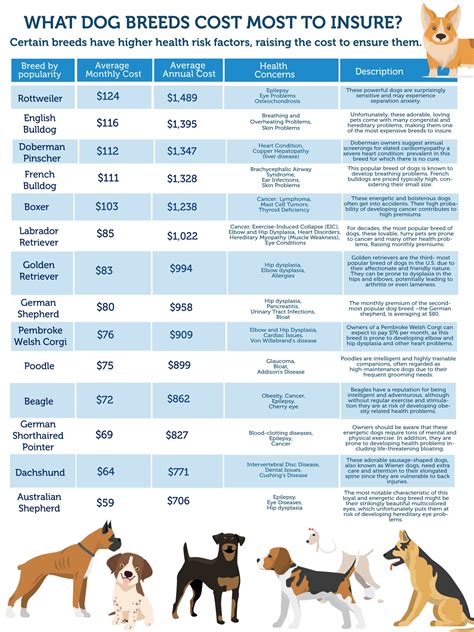 Infographic: What Dog Breeds Cost Most to Insure? | Shortlister