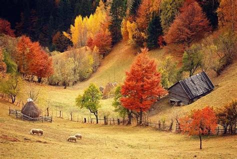 ♥: ♥: ♥: AUTUMN LOVE ♥: ♥: ♥: | Autumn scenery, Scenery, Colorful landscape