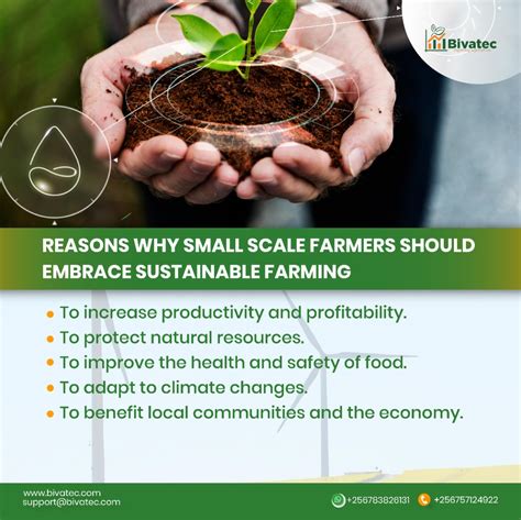 Sustainable Farming Practices for Small-Scale Farmers