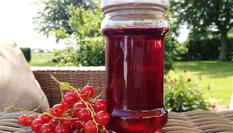 Redcurrant jelly - Perfect for grilled meat - Easy recipe