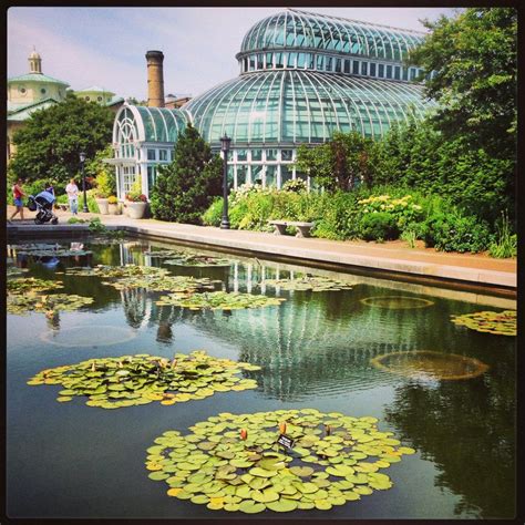 The Brooklyn Botanic Garden: A Nature Lover's Paradise – Artourney