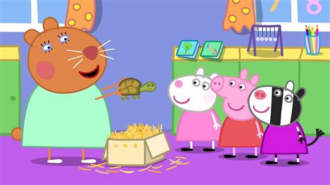 BBC ALBA - Peppa, Series 3, Dr Hamster’s Tortoise/Sligeanach Dr Hamstair