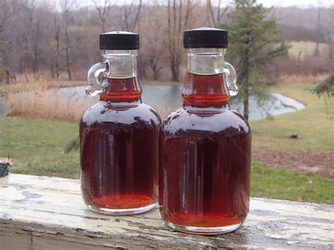 Ridge Berry Farm: It's Time to Try Birch Syrup