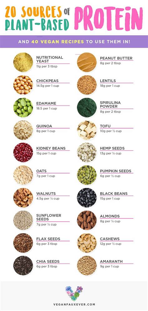 20 Vegan Protein Sources And How To Incorporate Them Into Your Diet ...