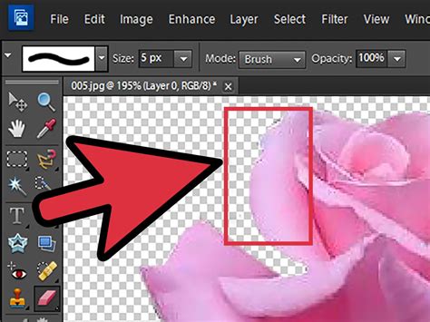 3 Ways to Remove Background With Photoshop Elements - wikiHow ...