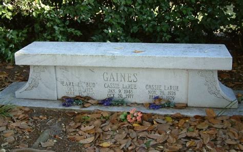 Cassie Gaines Gravesite | Gaines, Famous graves, Ronnie van zant