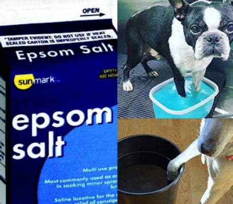 Top 14 How Much Epsom Salt To Soak Dogs Foot Lastest Updates 10/2022