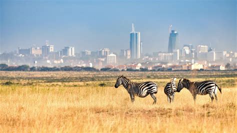 Nairobi National Park | Sundowner Wildlife Holidays