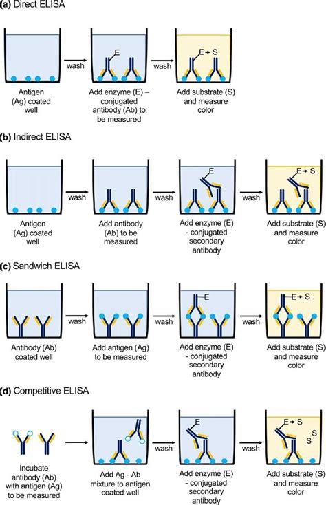 Enzyme-linked Immunosorbent Assay (ELISA) - Profacgen