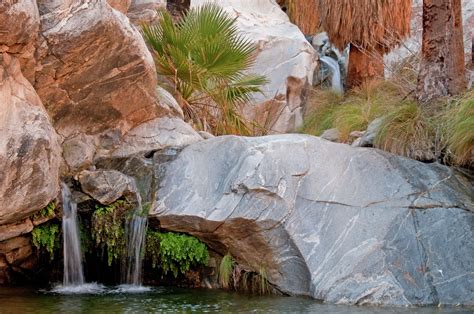 Murray Canyon Trail—a desert hike with a secret swimming hole