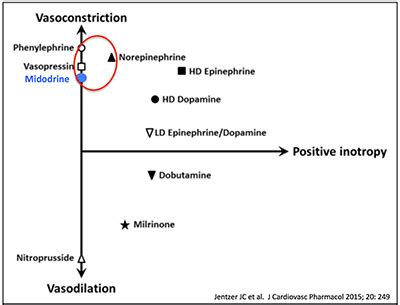 PulmCrit- Oral vasopressor to accelerate liberation from the ICU