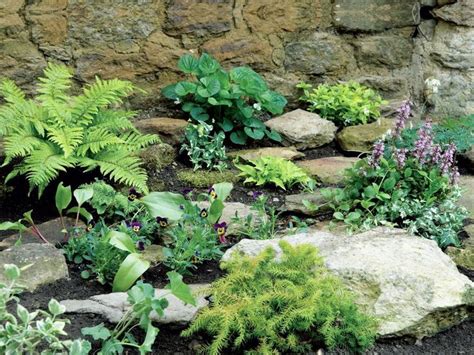 Rock Garden Shade Plants | Rock garden landscaping, Rockery garden ...