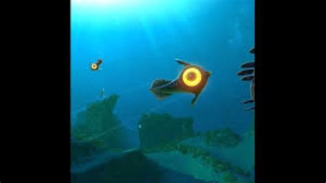 Subnautica mods multiplayer - bezytelevision